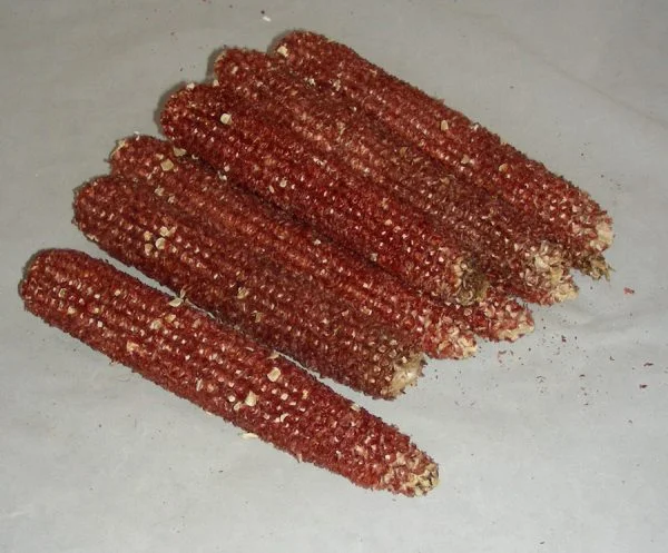 Corn Cobs